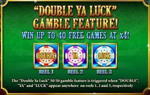 Double Ya Luck